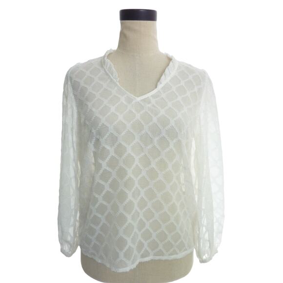 Banana Republic Sheer Embroidered Long Sleeve Blouse VNeck Ruffle Peasant Top XS - Picture 1 of 5